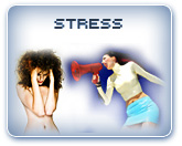 Section: Intro And Some Highlights / Report: Stress Section: Intro And Some Highlights / Report: Stress